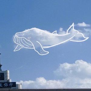 色情综艺被c到爽哭H在线观看孟子义
