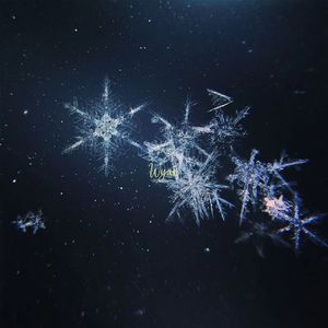 色情综艺被c到爽哭H在线观看孟子义
